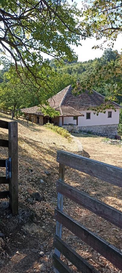 Poljoprivredno Turisticko Domacinstvo Deguric Apartment Valjevo Exterior photo